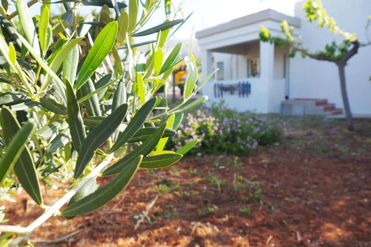 Olive House Villa Malia  Luaran gambar